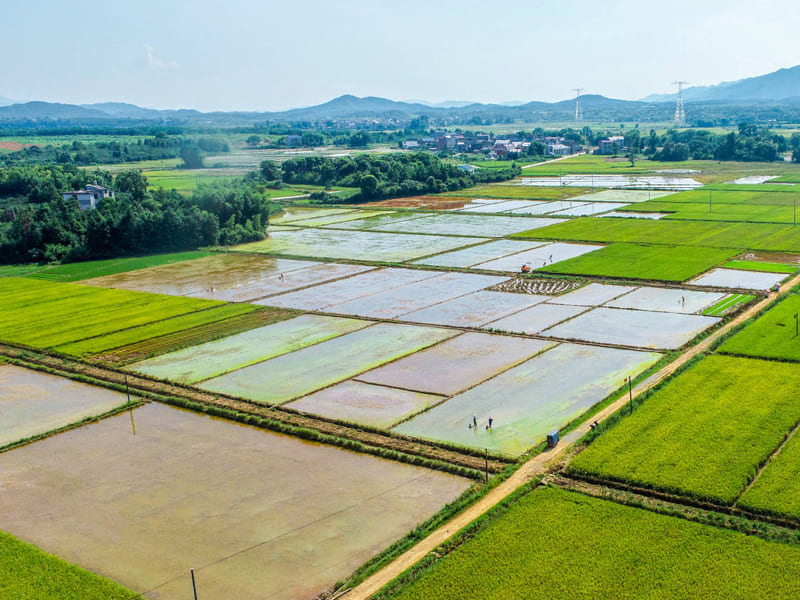 恒美科技助力高標準農田建設，推進農業現代化